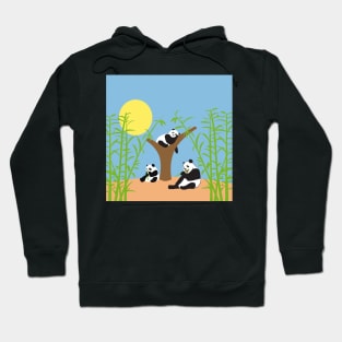 Osos panda Hoodie